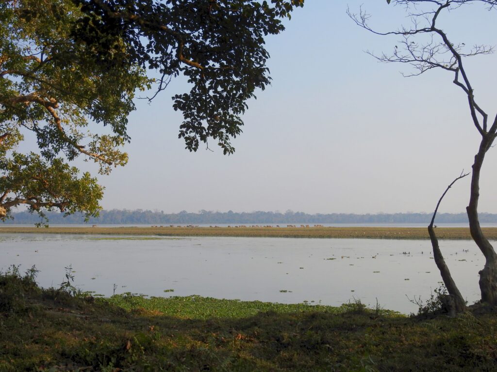 outdoor-image-02 Wetland Kaziranga 1024x768